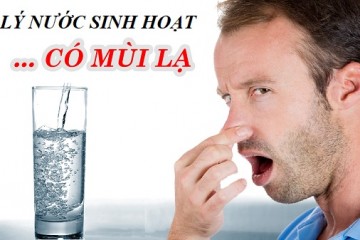 Nước sinh hoạt  bỗng có mùi- Nhận định nguyên nhân và hướng xử lý
